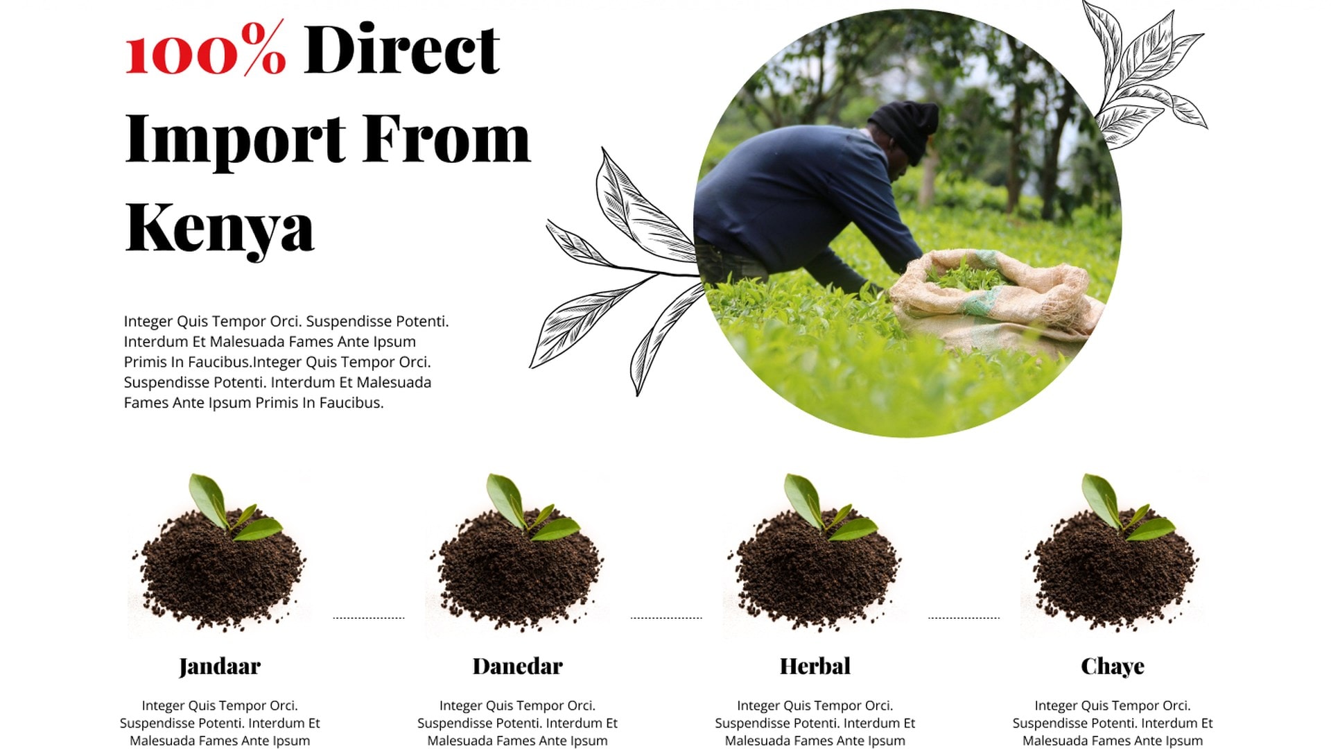 Sourcing section showing a circular photograph of a tea picker beside a large display heading about direct import